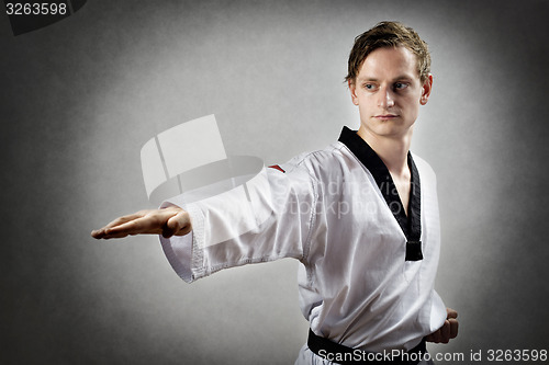 Image of Taekwon Do Master