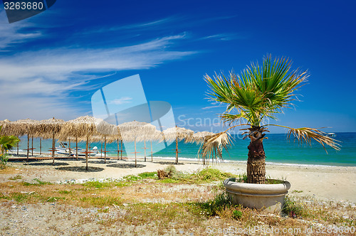 Image of Reed umbrellas on the beach