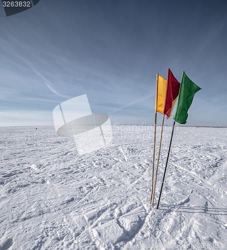 Image of Flags on the background of winter sky