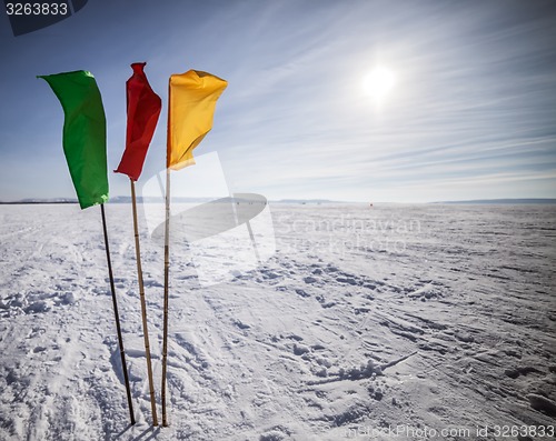 Image of Flags on the background of winter sky