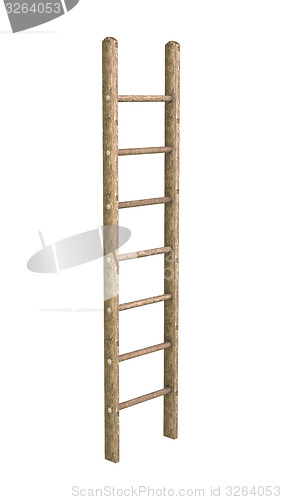 Image of Wooden Ladder