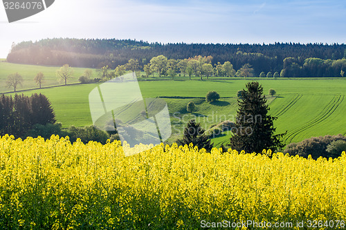 Image of Beautiful spring rural landscape