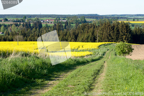 Image of Beautiful spring rural landscape