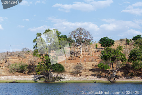 Image of Chobe river Botswana