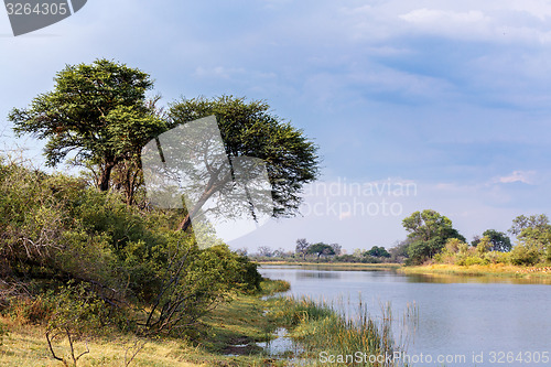 Image of African landscape