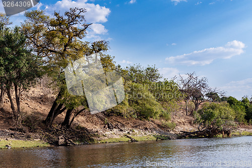 Image of Chobe river Botswana