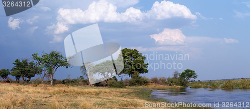 Image of African landscape