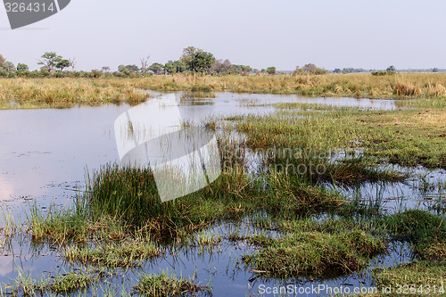 Image of African landscape