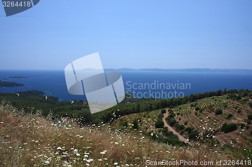 Image of Seascape