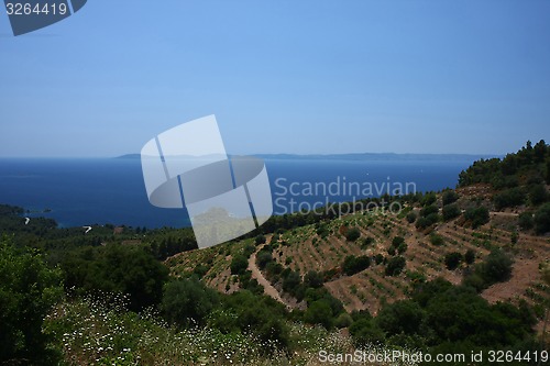 Image of Seascape