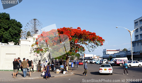Image of Street in Bulawayo Zimbabwe
