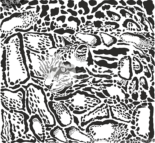 Image of Background with leopard skins and head