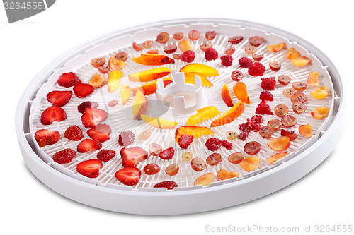 Image of Slices of fruits and berries on dehydrator tray