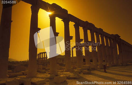 Image of SYRIA PALMYRA ROMAN RUINS