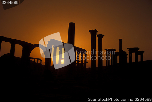 Image of SYRIA PALMYRA ROMAN RUINS