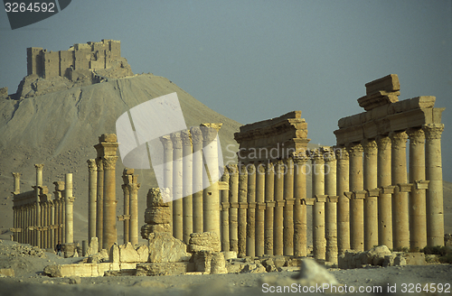 Image of SYRIA PALMYRA ROMAN RUINS