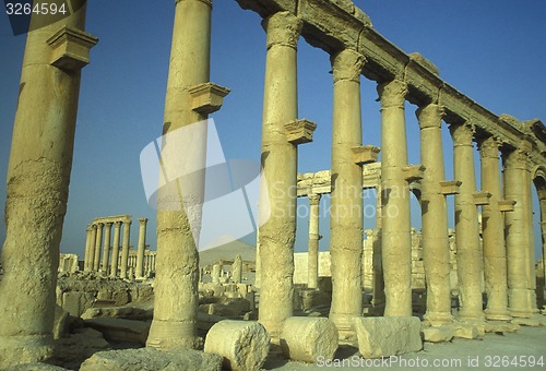 Image of SYRIA PALMYRA ROMAN RUINS