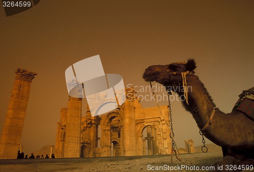 Image of SYRIA PALMYRA ROMAN RUINS