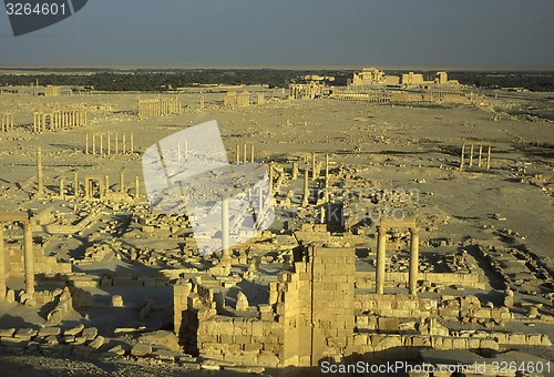 Image of SYRIA PALMYRA ROMAN RUINS