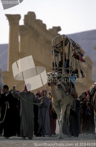 Image of SYRIA PALMYRA ROMAN RUINS