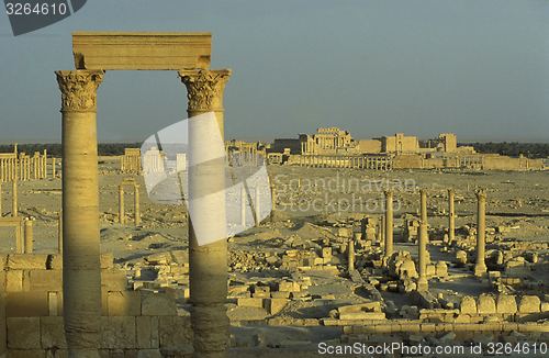 Image of SYRIA PALMYRA ROMAN RUINS