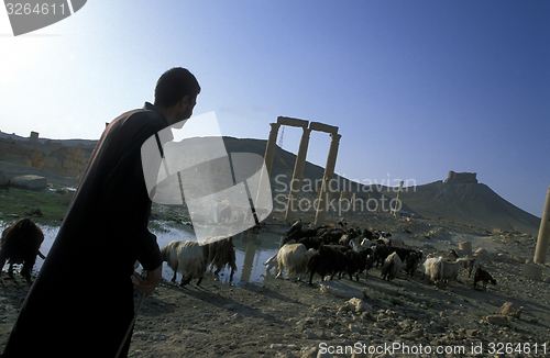 Image of SYRIA PALMYRA ROMAN RUINS