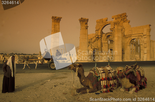 Image of SYRIA PALMYRA ROMAN RUINS