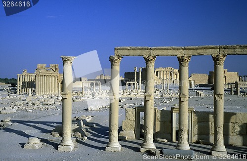 Image of SYRIA PALMYRA ROMAN RUINS