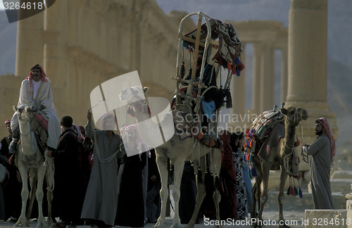 Image of SYRIA PALMYRA ROMAN RUINS