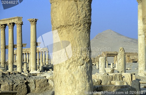 Image of SYRIA PALMYRA ROMAN RUINS