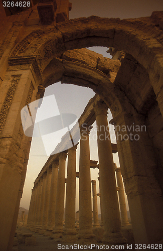 Image of SYRIA PALMYRA ROMAN RUINS