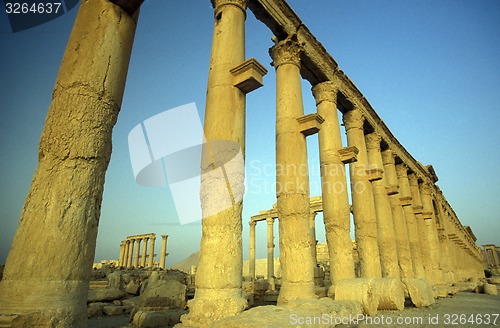 Image of SYRIA PALMYRA ROMAN RUINS