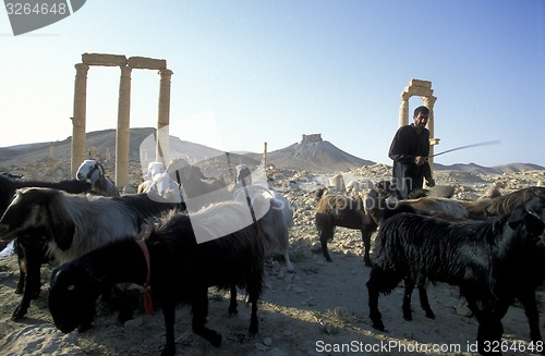 Image of SYRIA PALMYRA ROMAN RUINS