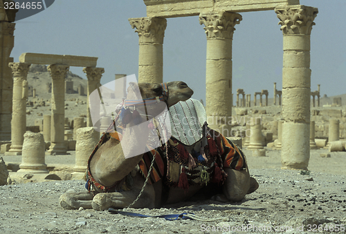 Image of SYRIA PALMYRA ROMAN RUINS