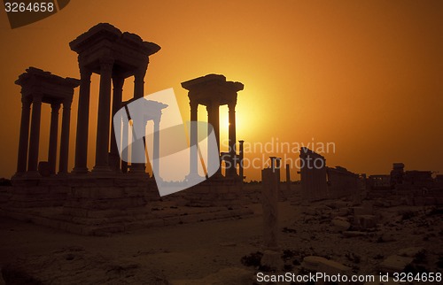 Image of SYRIA PALMYRA ROMAN RUINS