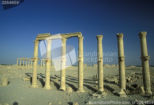 Image of SYRIA PALMYRA ROMAN RUINS