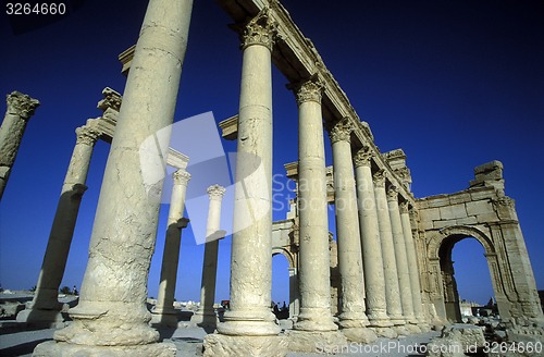 Image of SYRIA PALMYRA ROMAN RUINS