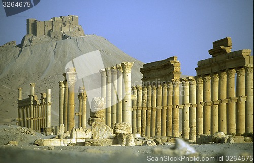 Image of SYRIA PALMYRA ROMAN RUINS