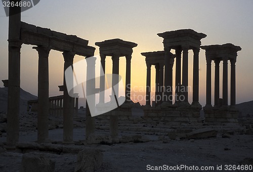 Image of SYRIA PALMYRA ROMAN RUINS