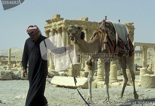 Image of SYRIA PALMYRA ROMAN RUINS