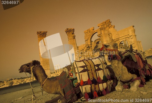 Image of SYRIA PALMYRA ROMAN RUINS