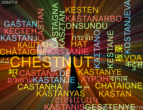 Image of Chestnut multilanguage wordcloud background concept glowing