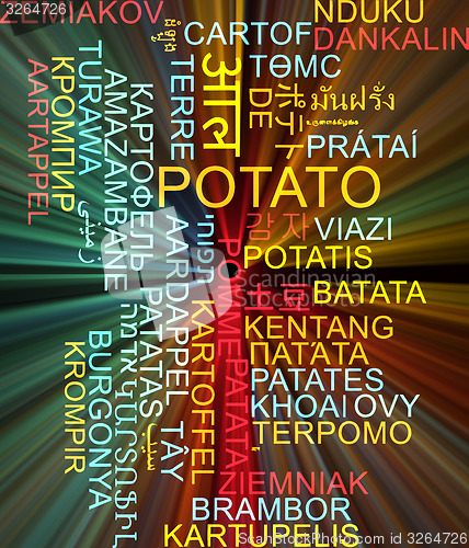 Image of Potato multilanguage wordcloud background concept glowing