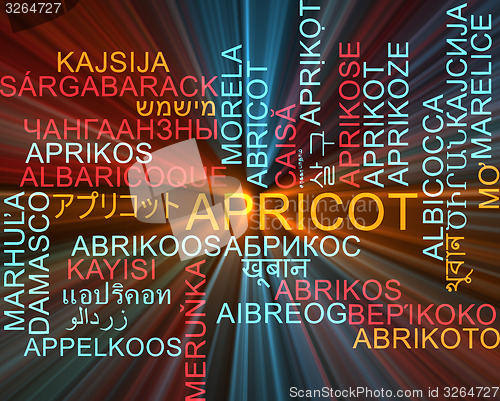 Image of Apricot multilanguage wordcloud background concept glowing