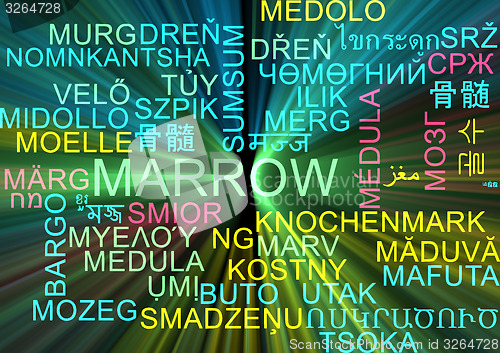 Image of Marrow multilanguage wordcloud background concept glowing