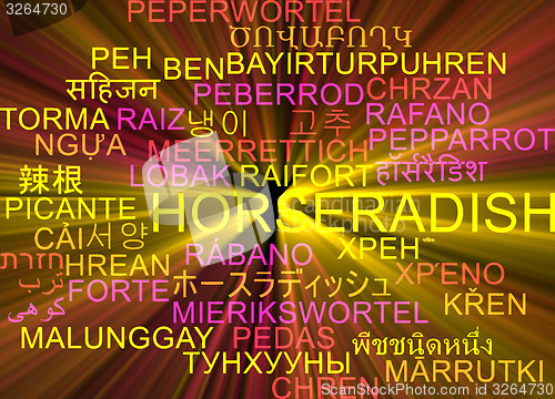 Image of Horseradish multilanguage wordcloud background concept glowing