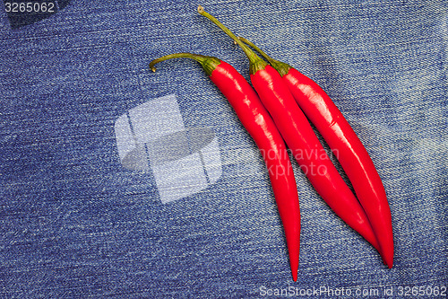 Image of hot chili pepper on jeans background