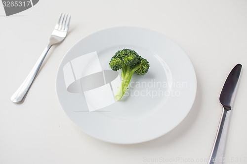 Image of close up of broccoli on plate