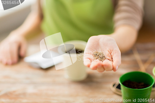 Image of close up of woman hand holding seeds