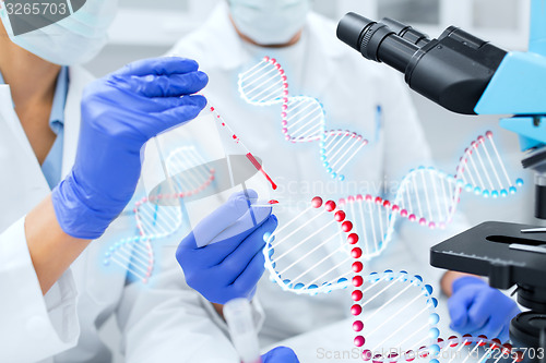 Image of close up of scientists filling perti dish in lab